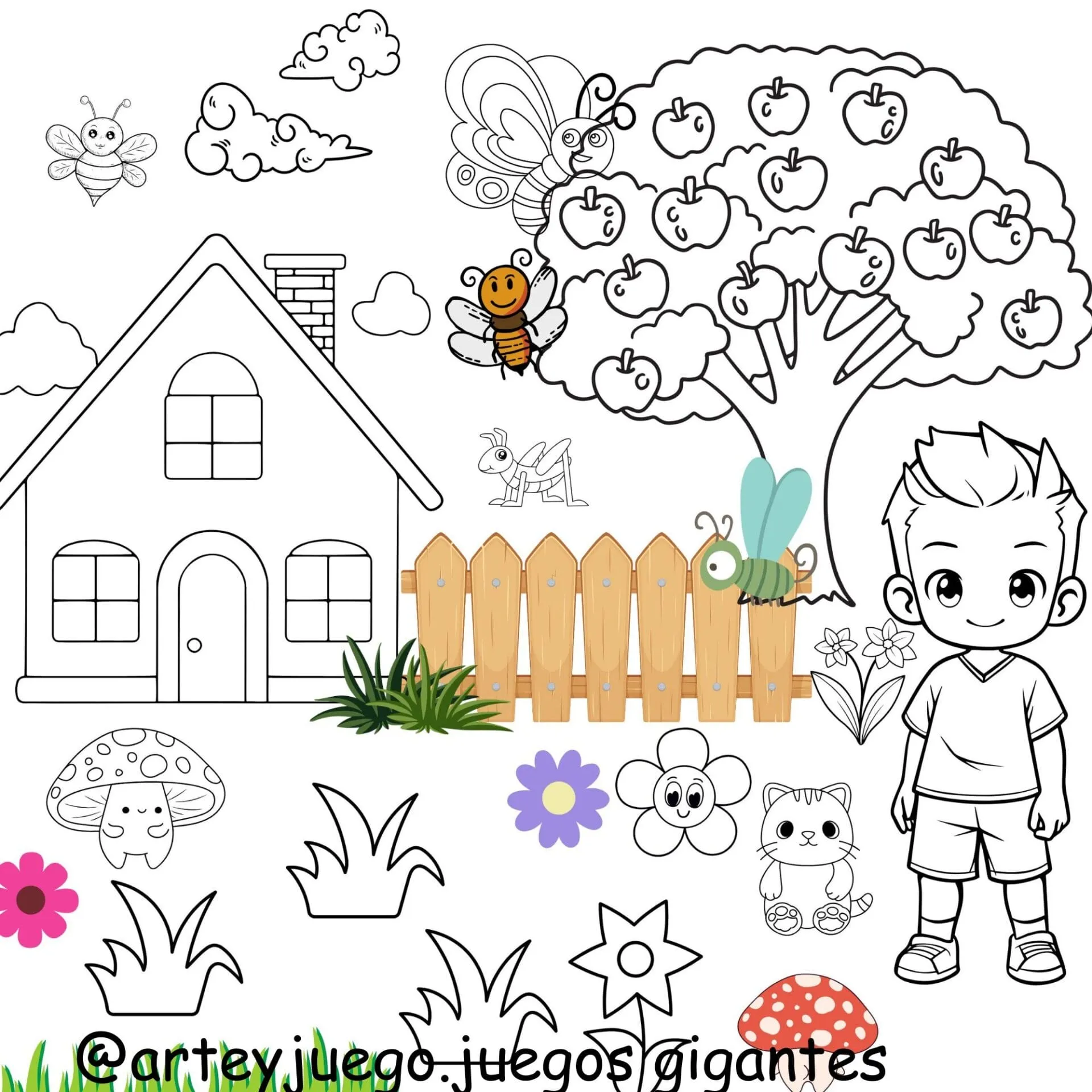 Lonas para Pintar y Despintar individuales