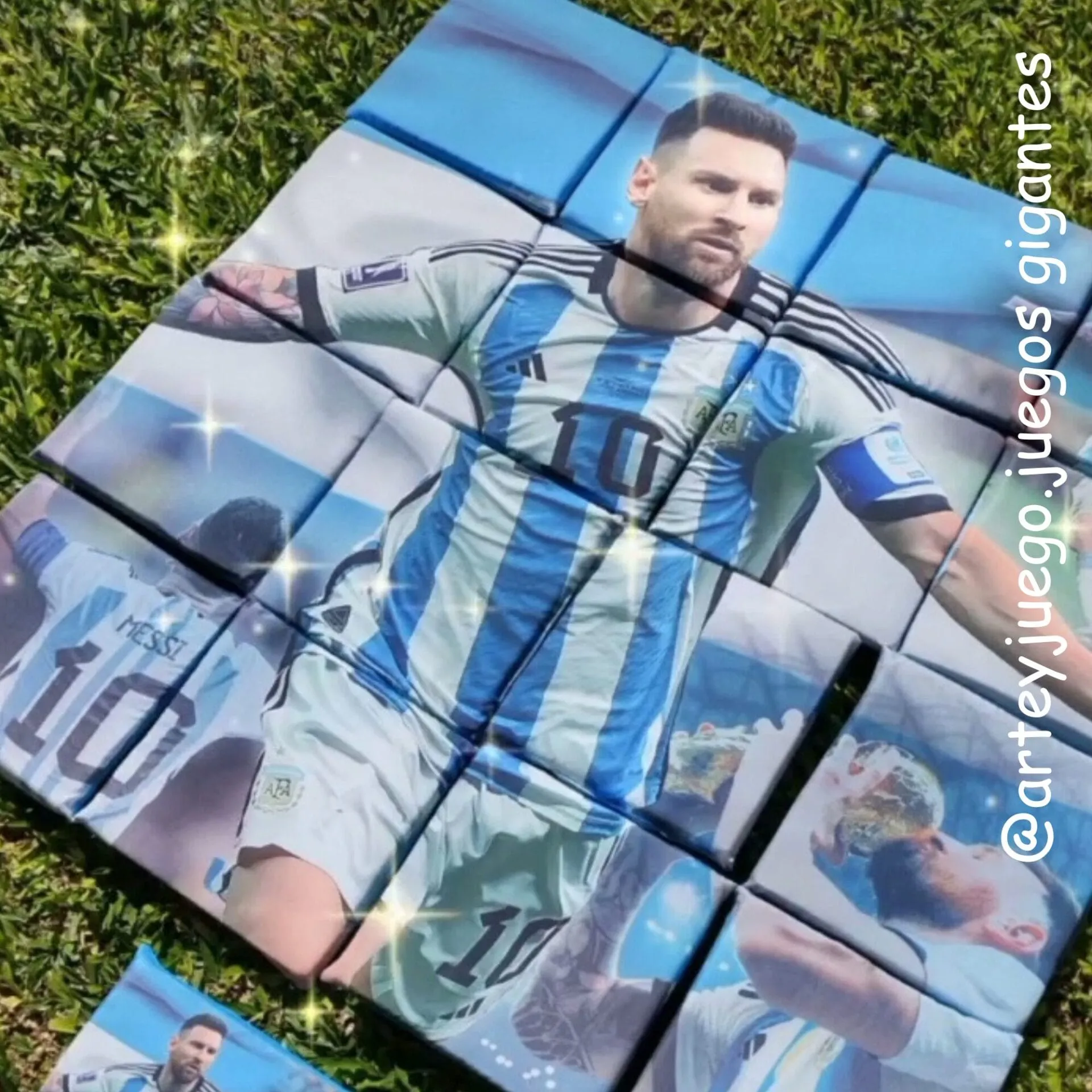 Rompecabezas Gigante x 17 piezas